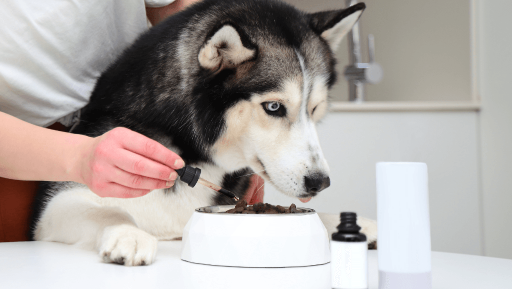 Best Dog Joint Supplement for Healthy Mobility 1 dog joint supplement