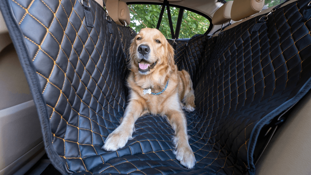 folding dog ramp for car side door entry