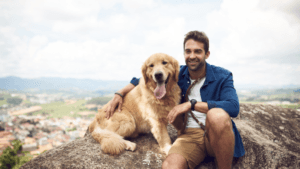 how can i know if my dog is in pain