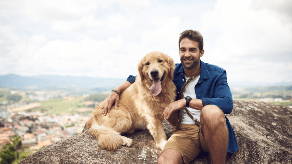 how can i know if my dog is in pain