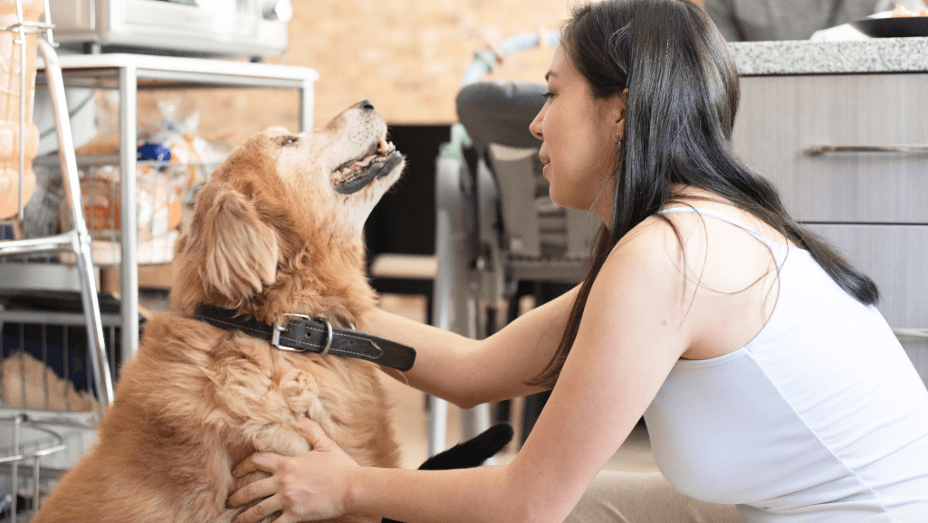 Dog Walk Duration Calculator: Find Perfect Walk Length 1 how long should i walk my dog calculator