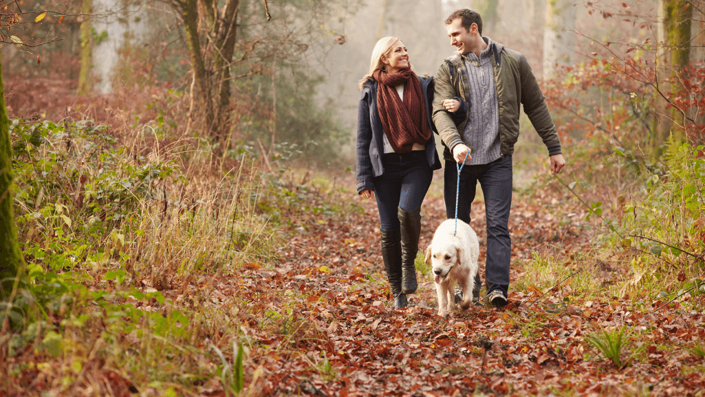 personalized dog walk recommendation