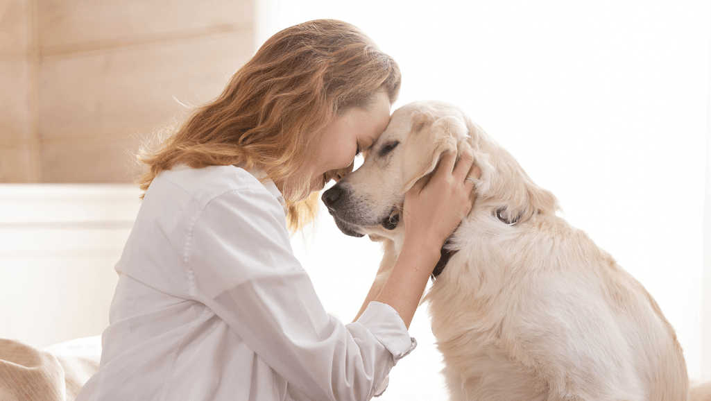 pet euthanasia process