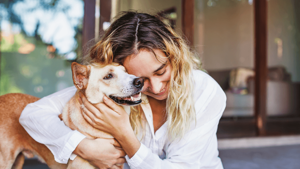 pet loss support