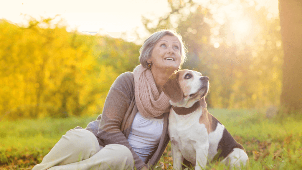 senior dog quality of life