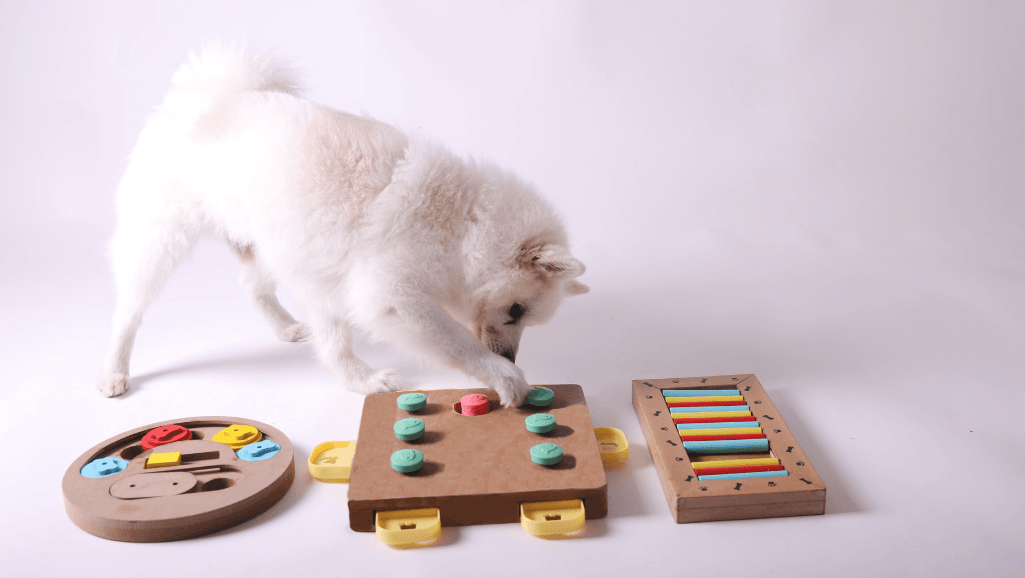 DIY puzzles for small dogs