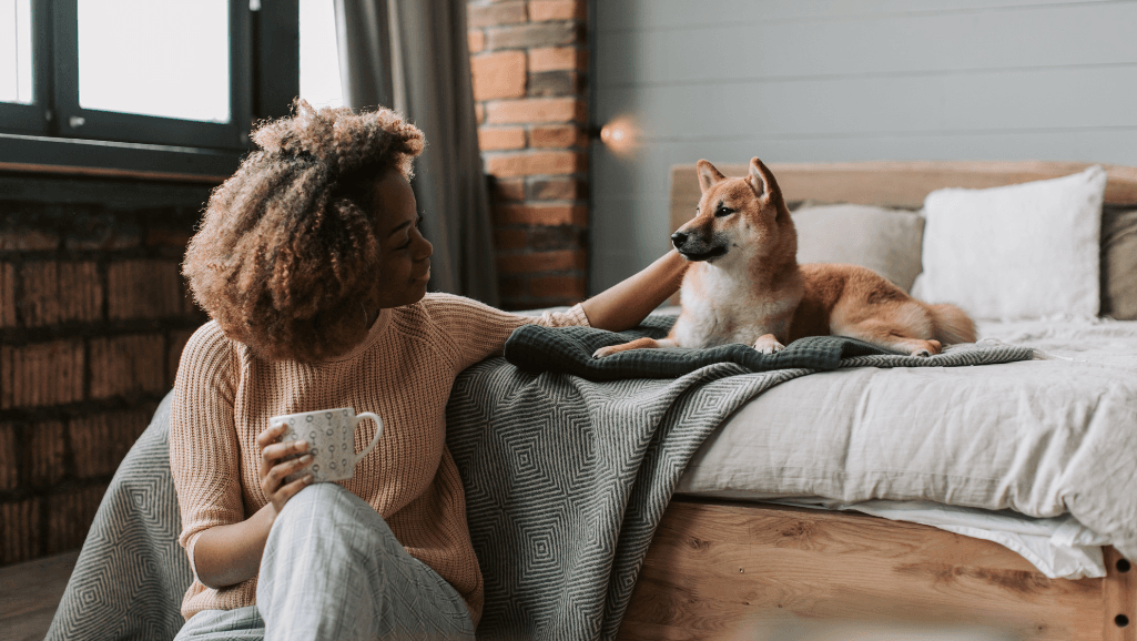 canine weight loss strategies