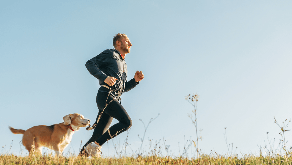 dog exercise
