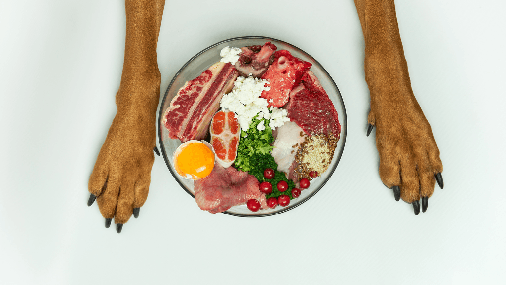 high-quality dog food proteins