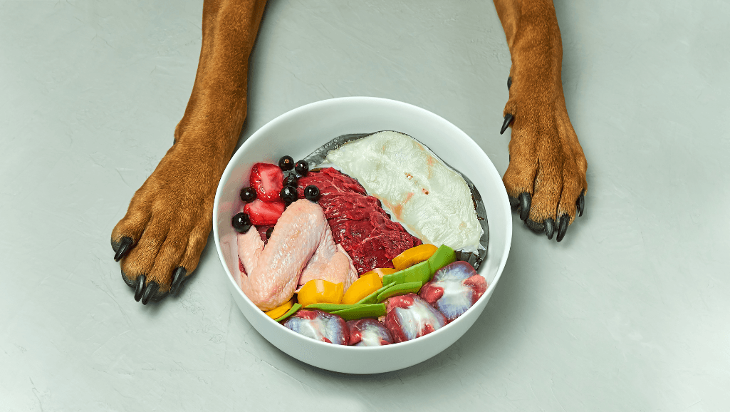 hypoallergenic dog food brands