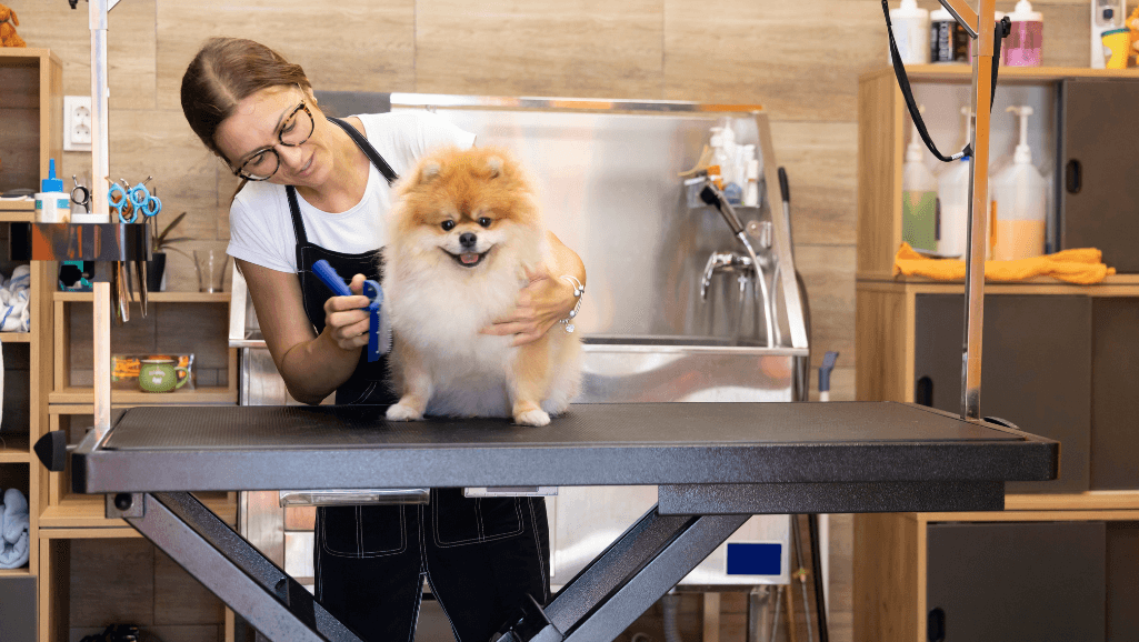 mobile dog groomers