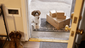 osteoarthritis in dogs life expectancy