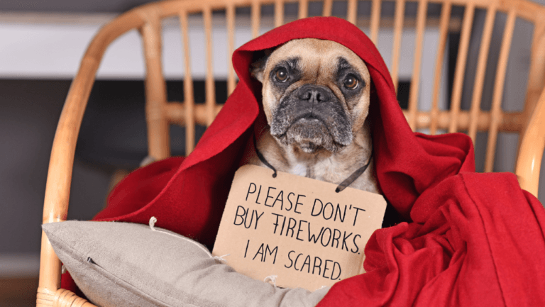 Signs of Rodenticide Tox Dog: Emergency Guide 69 signs of rodenticide tox dog