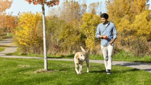 why does my dog bark when i leave