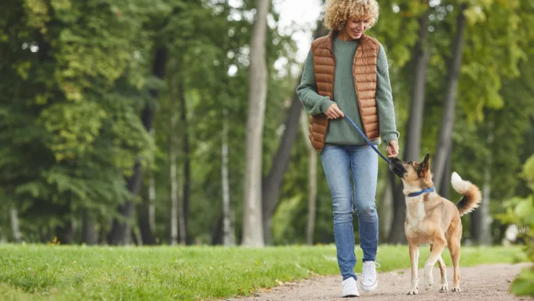 why skipping your dogs walk