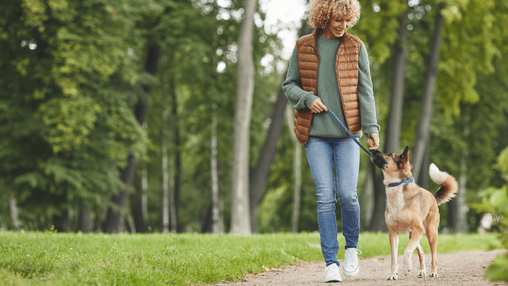 why skipping your dogs walk