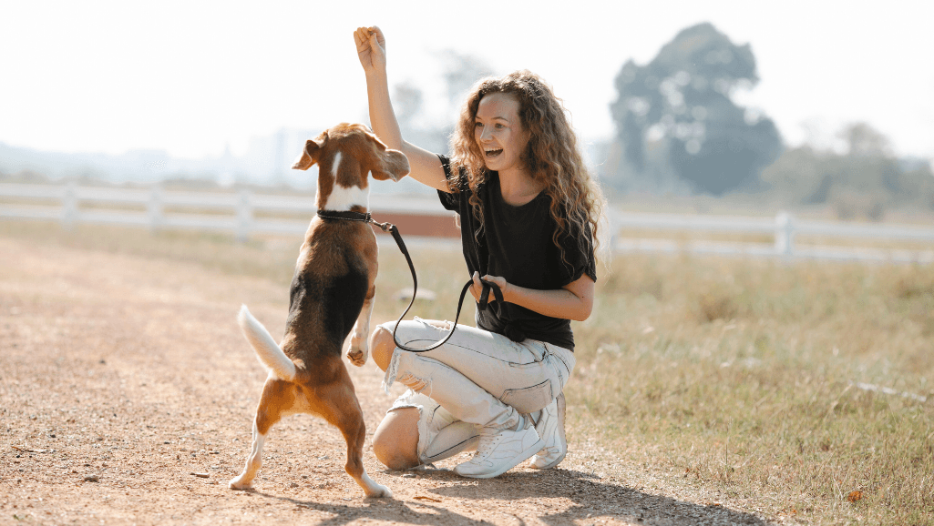 advanced dog training techniques