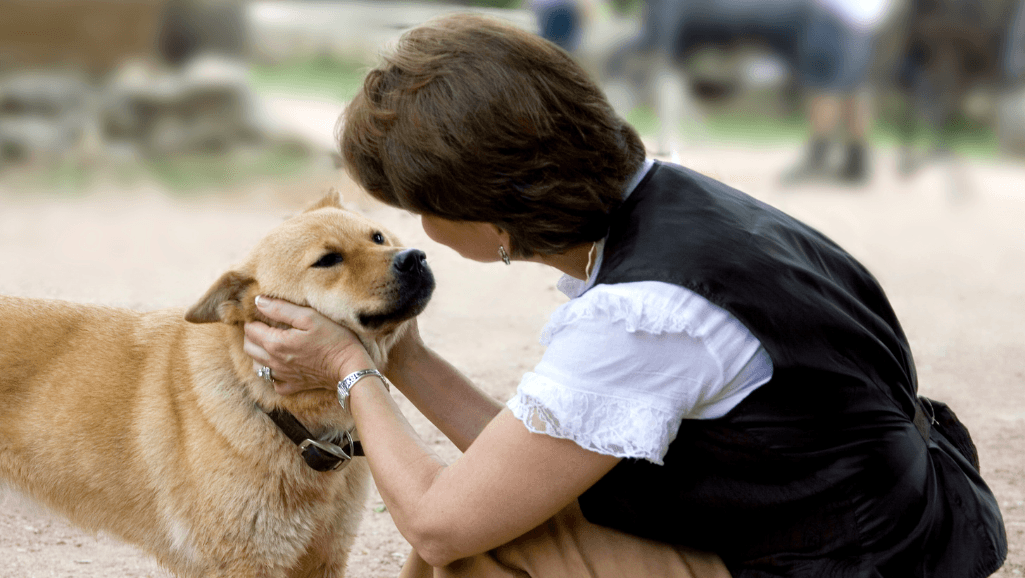 dog-to-dog interactions