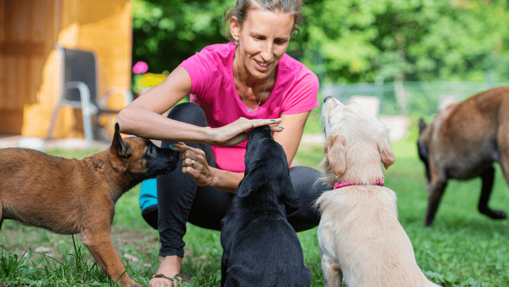 dog trainer apprentice working with a puppy