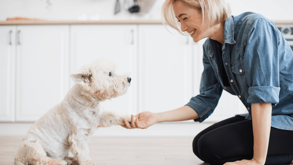 puppy training books for new dog owners